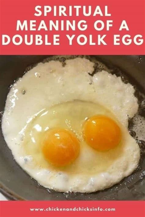 Double yolk meaning witchcdotf